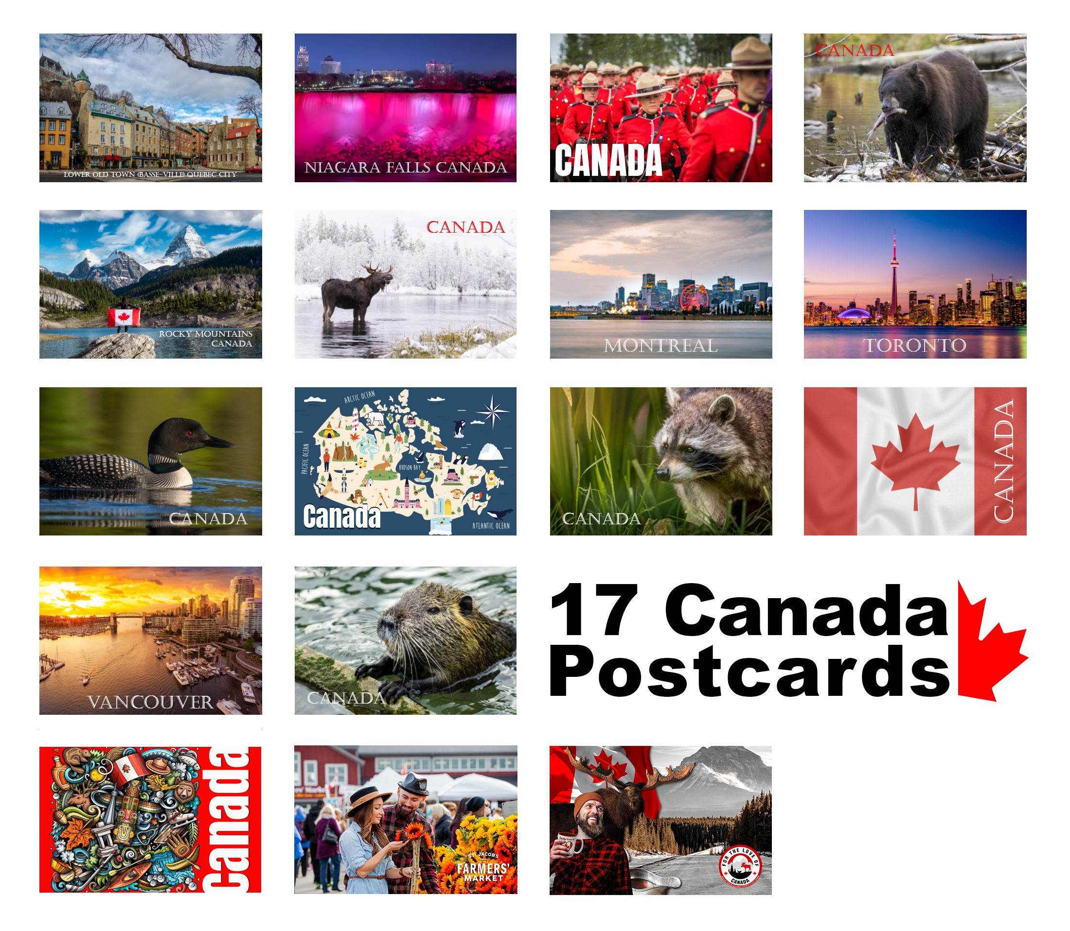 sheet postcard (1) (1)