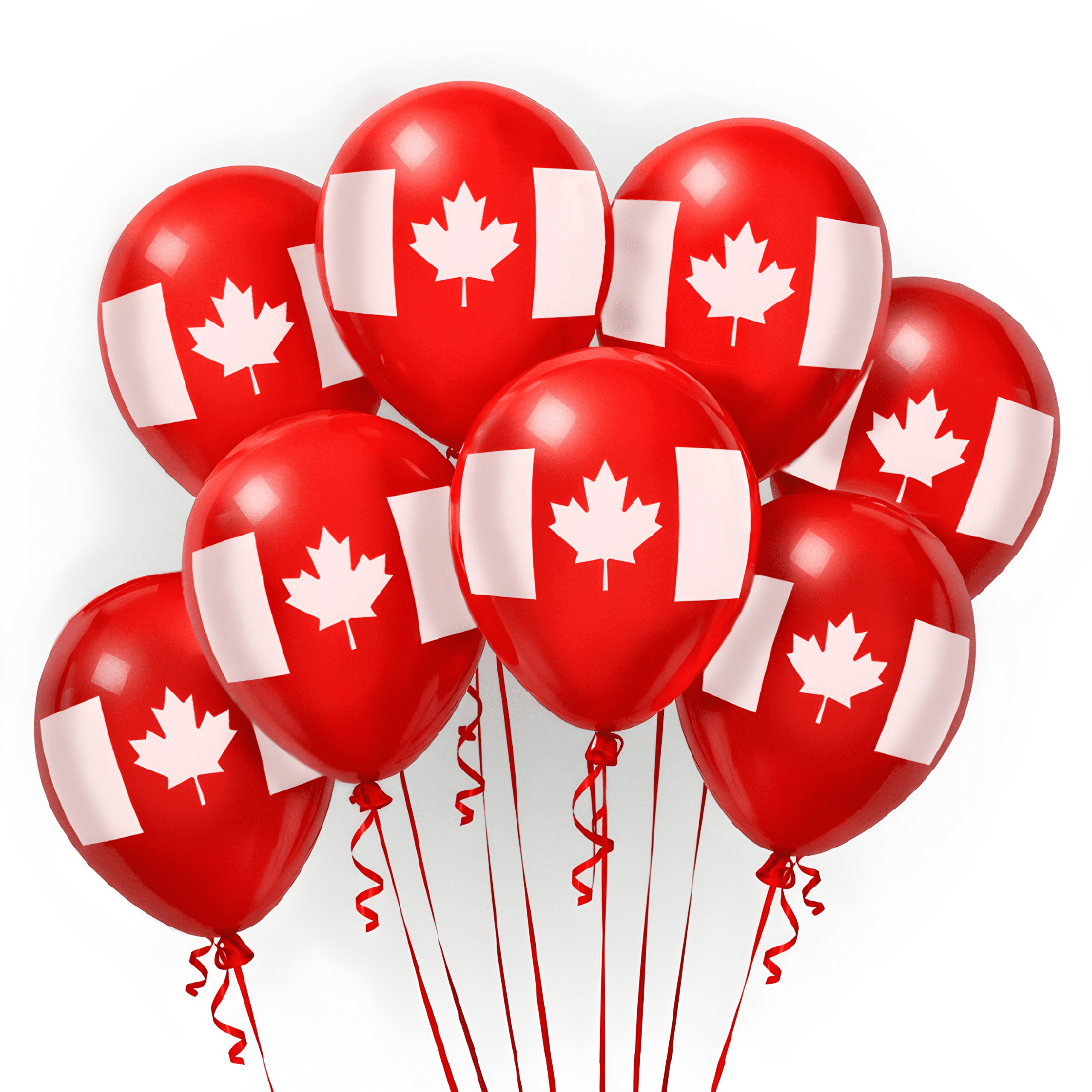 Canada Day Party Bundle Decorations Balloons Tattoos Banner Beach Ball Canada Party Supplies ( Early order Special) - Image 5