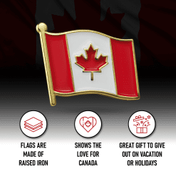 Canadian maple leaf lapel pin souvenir